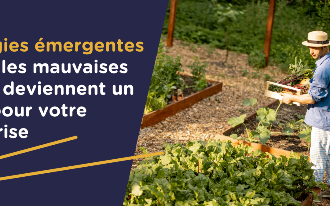 Les stratégies émergentes : quand les mauvaises herbes deviennent un atout pour votre entreprise