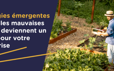 Les stratégies émergentes : quand les mauvaises herbes deviennent un atout pour votre entreprise